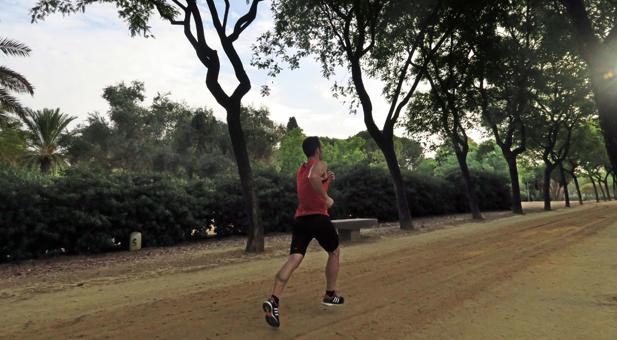 Disparan a un corredor al que querían atracar en el Parque Amate