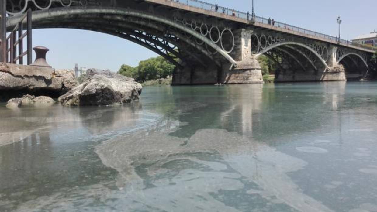 Zona del río Guadalquivir donde se ha producido el vertido