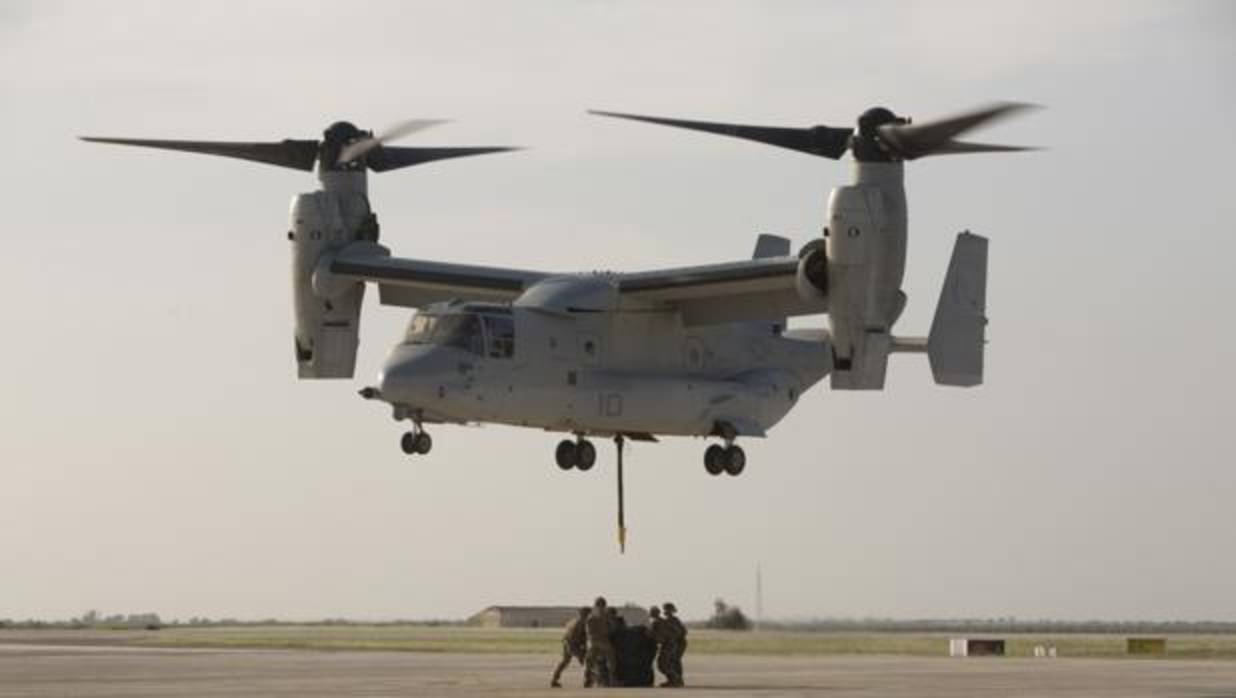 Marines del destacamento de Morón, durante una maniobra ABC