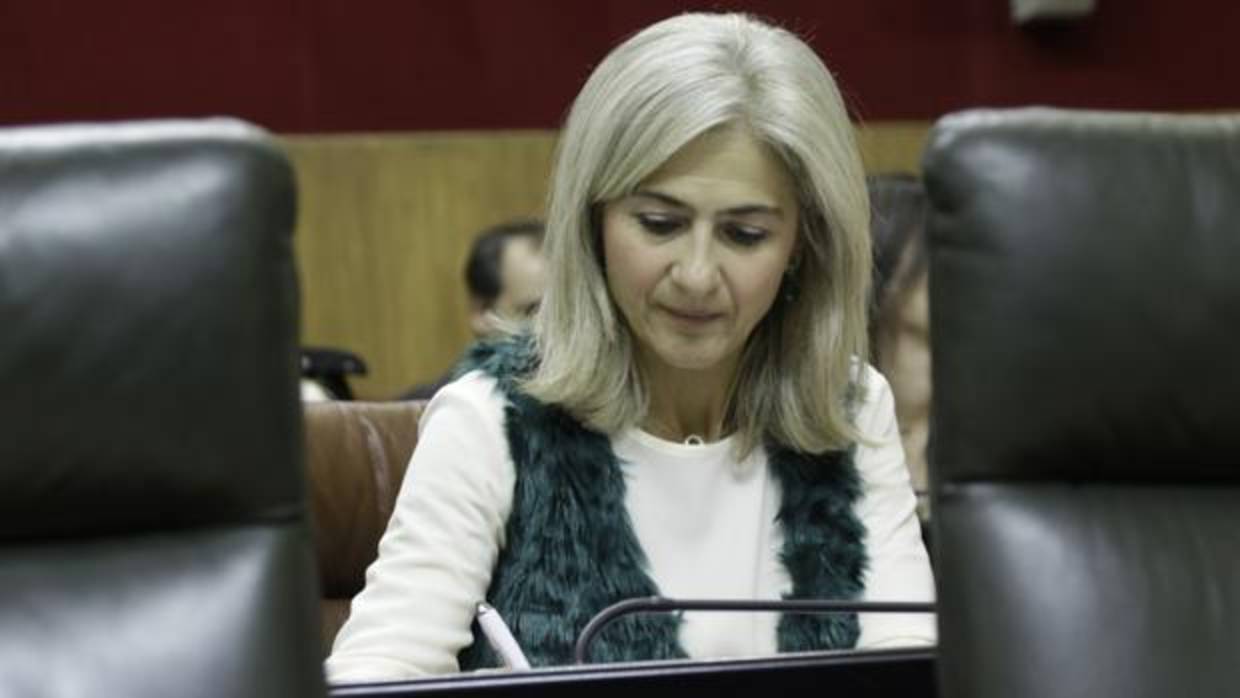 La parlamentaria Patricia del Pozo ha sido la encargada de dirigir la pregunta a la consejera