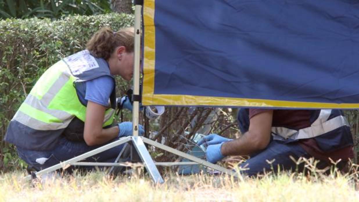 El cuerpo hallado en el Parque Amate corresponde al de una mujer sevillana