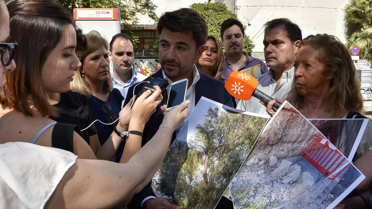 Beltrán Pérez muestra las fotos de la rama caída sobre la muralla de la Macarena