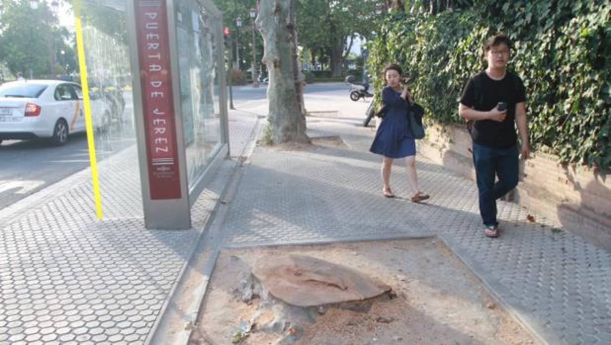 Dos turistas sortean un alcorque vacío en la calle Palos de la Frontera