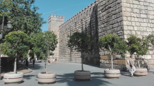 El perímetro del Alcázar está rodeado por maceteros de amplias dimensiones