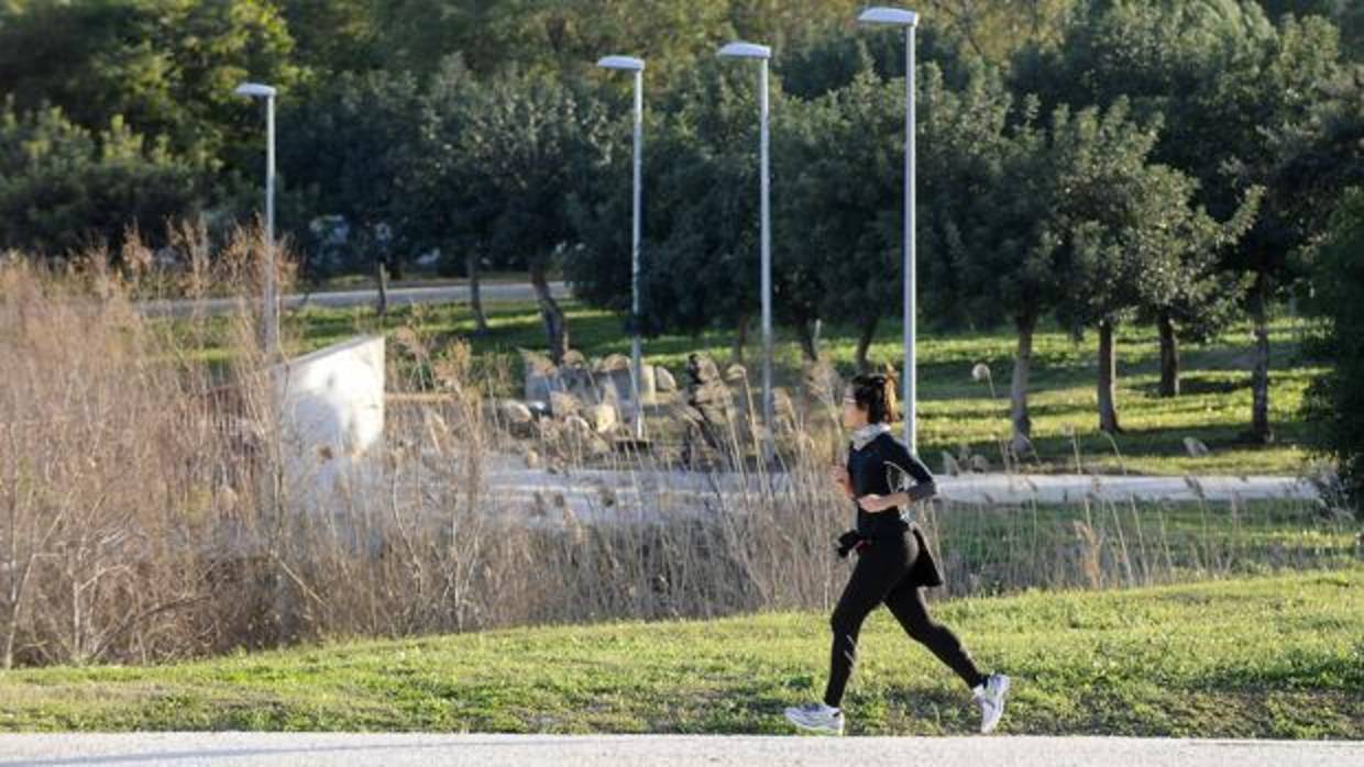 La chica hacía deporte en el parque del Tamarguillo cuando supuestamente sufrió la agresión sexual