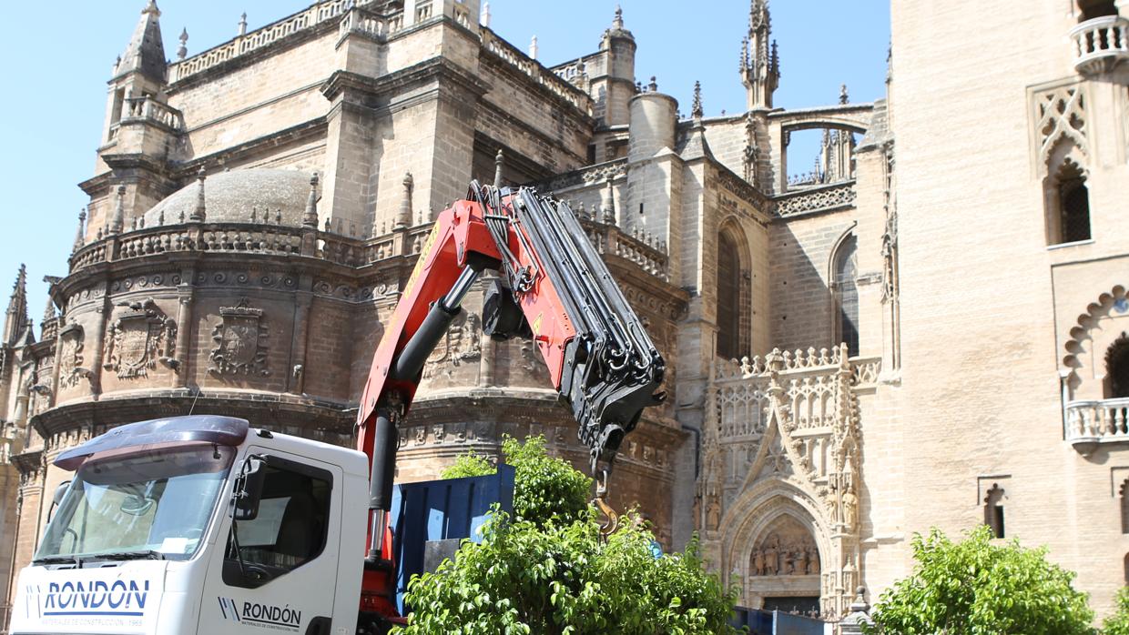 Trabajos de colocación de maceteros en la plaza Virgen de los Reyes