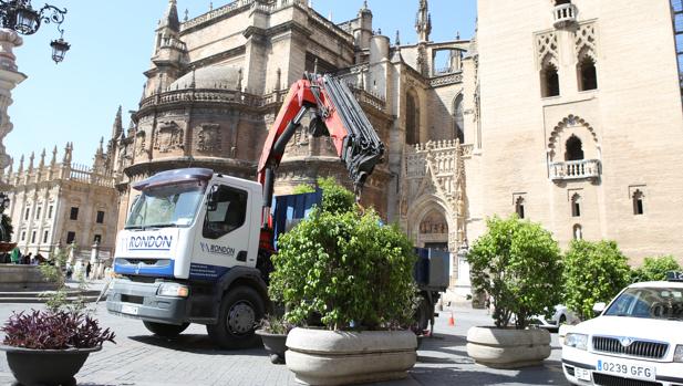 La Plaza Virgen de los Reyes también se protege con macetones de la amenaza terrorista