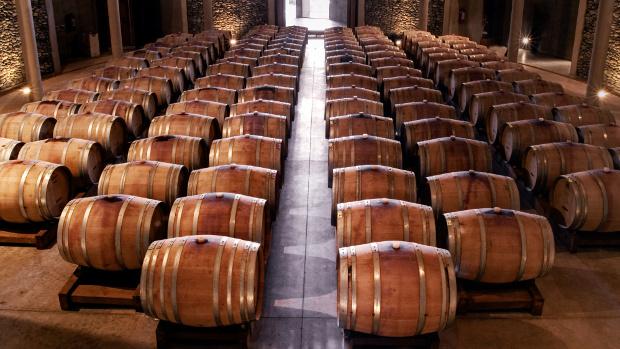 Vinos y vendimia: el mejor momento para visitar las bodegas