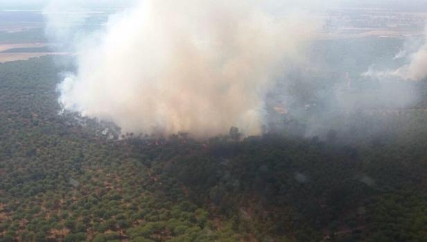 Declarado un incendio en el paraje natural de Dehesa Boyal de Villamanrique de la Condesa, cerca de Doñana