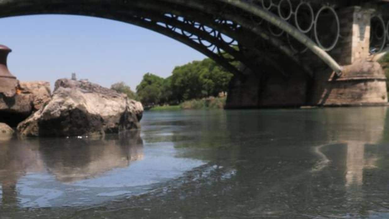 Un vertido de aceite cubrió la darsena del rio Guadalquivir el pasado mes de junio