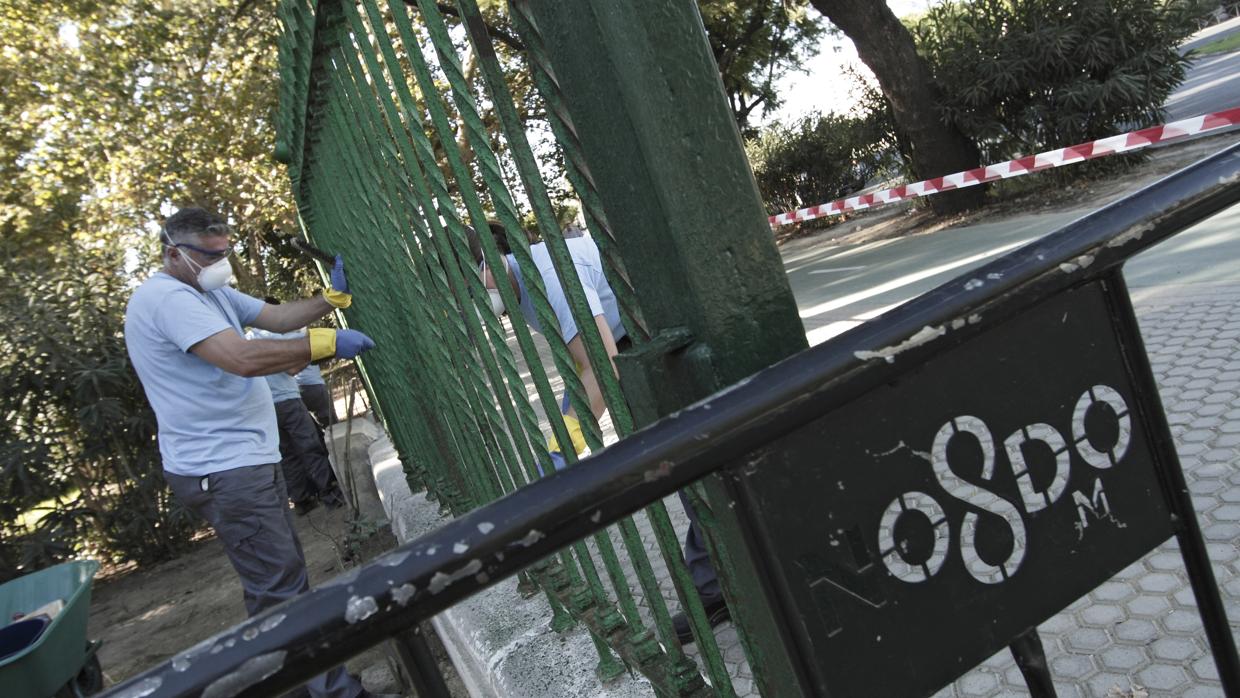 Trabajadores del plan de empleo en el Parque de María Luisa