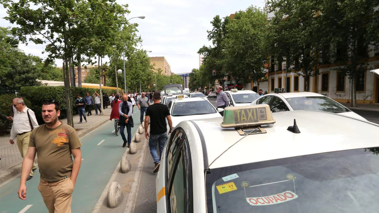 Varios taxis aparcados en la avenida de la Borbolla, en Sevilla