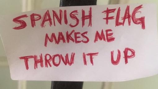 Pegatina con la leyenda en inglés «La bandera española me hace vomitar»