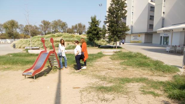 El PP denuncia la «falta de actuación» municipal en el barrio de Nuevo Amate