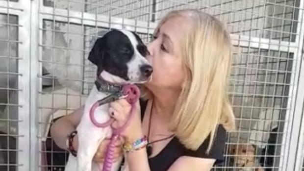 Emocionante mensaje de Emma Ozores desde Sevilla para conseguir la adopción de «Bala»