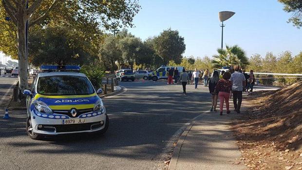 El Ayuntamiento mueve ficha para impedir la venta ilegal en el mercadillo dominical del Charco de la Pava