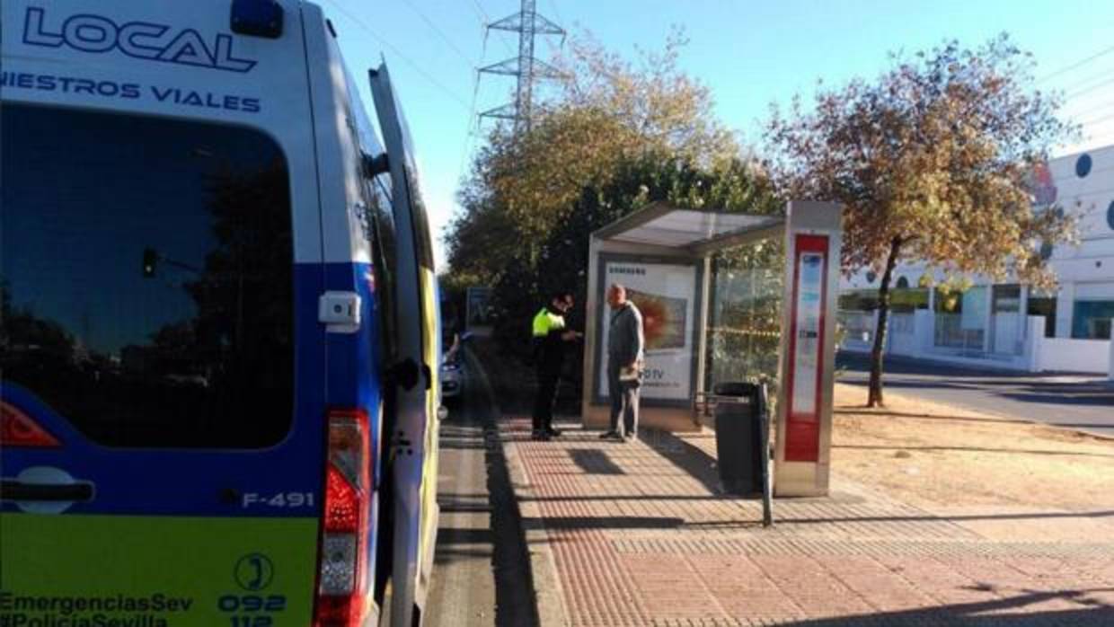 La Policía Local de Sevilla investigando las causas