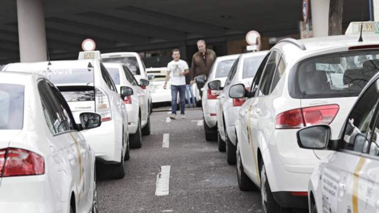 Los taxistas sevillanos se quejan de «intrusismo»