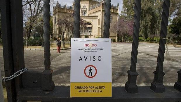 Herido leve un hombre en Sevilla por la caída de una rama de un árbol