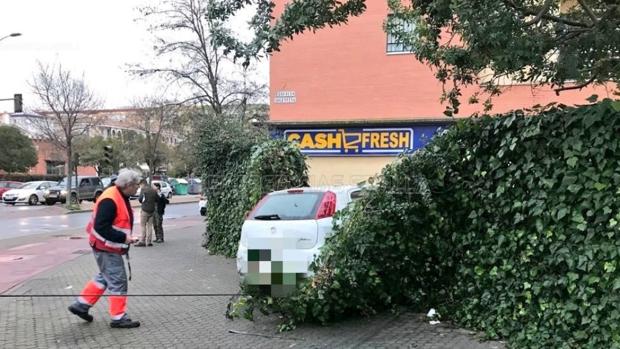 Choca contra un bloque en Sevilla sextuplicando la tasa de alcohol