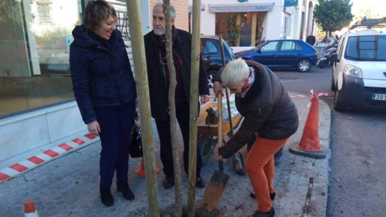 El Ayuntamiento ha plantado nuevos árboles en Nervión