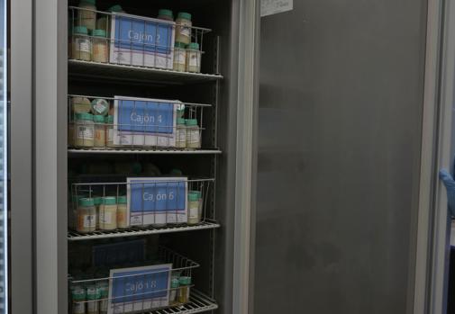 Cajones frigoríficos con la leche materna almacenada