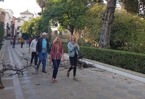 Turistas pasean junto a la rama caída