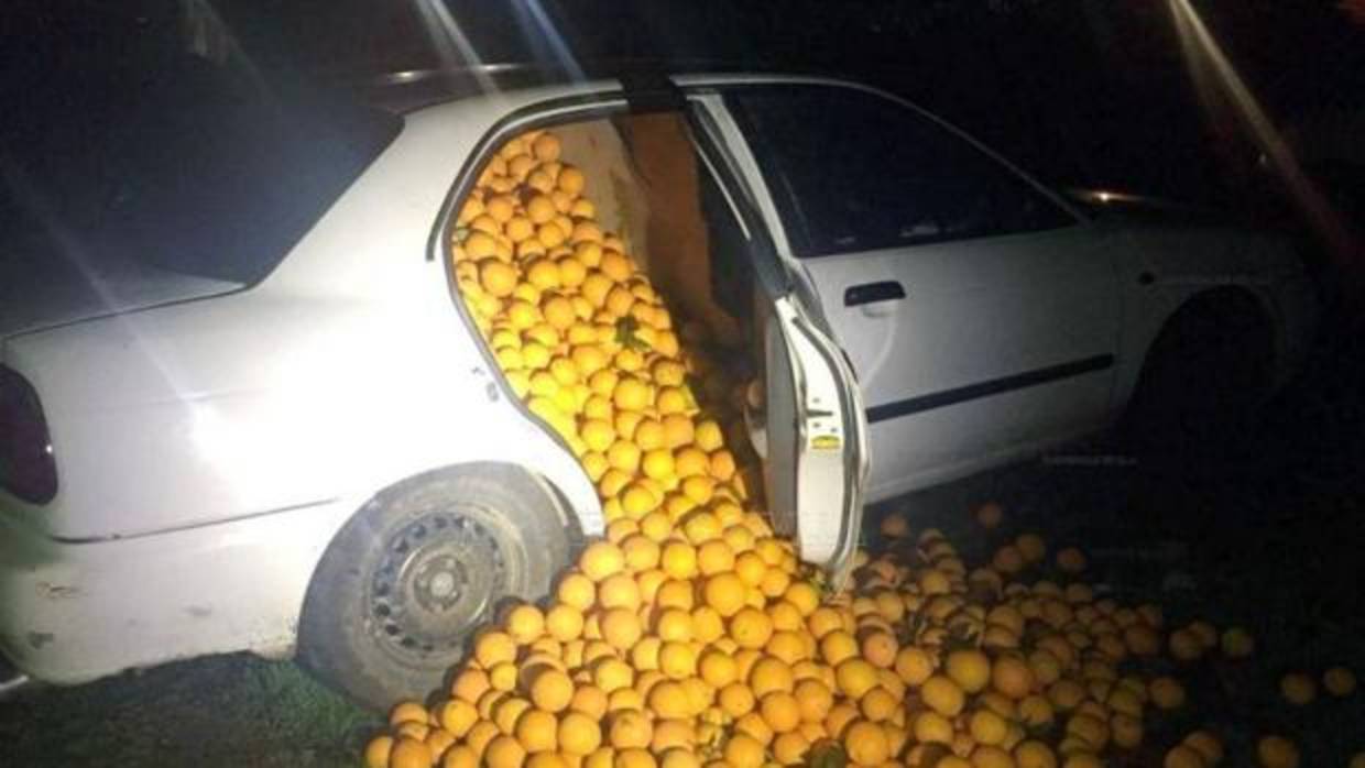 Nueve toneladas de naranjas robadas en Cazalla