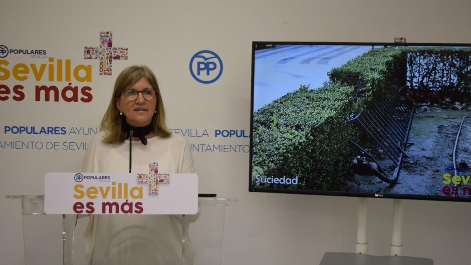 El PP denuncia el estado de la Plaza Nueva de Sevilla