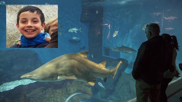 Recogida de firmas para que el acuario de Sevilla lleve el nombre del pescaíto Gabriel Cruz