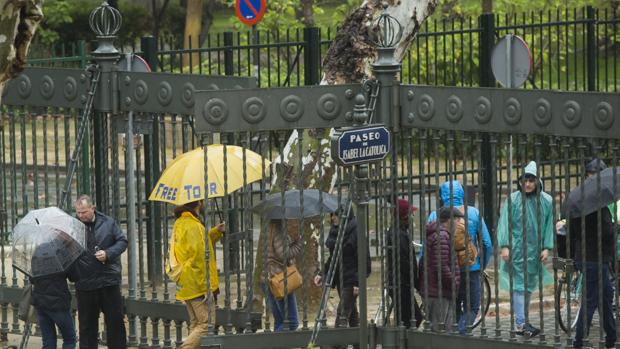 Los museos del Parque de María Luisa llevan dos semanas cerrados