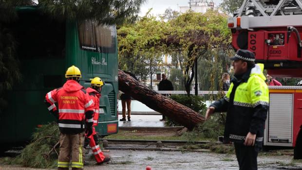 Los tornados que han pasado este jueves por Sevilla, repentinos e imposibles de predecir