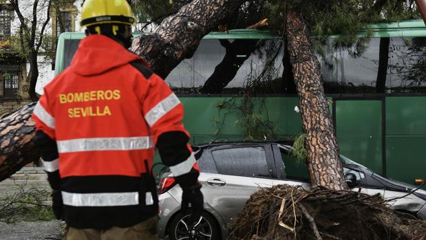 El tornado en Sevilla dejó rachas de viento superiores a los 60 kilómetros por horas