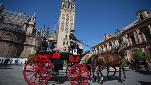 Unas tres mil personas presencian el Concurso de Enganches en la Plaza de España de Sevilla