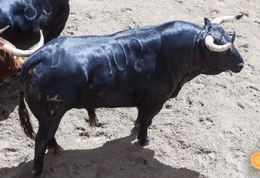 Feria de Abril de Sevilla 2018: Seis toros de Juan Pedro Domecq para Ponce, Manzanares y Ginés