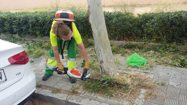 El Ayuntamiento de Sevilla pone en marcha un plan especial de limpieza de solares y alcorques en barrios