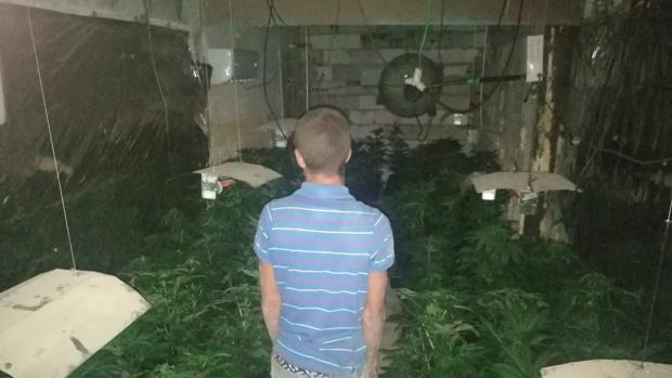 Los «narcopisos» de la marihuana inundan Sevilla