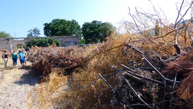 Alertan del vandalismo y la dejadez del parque de Miraflores