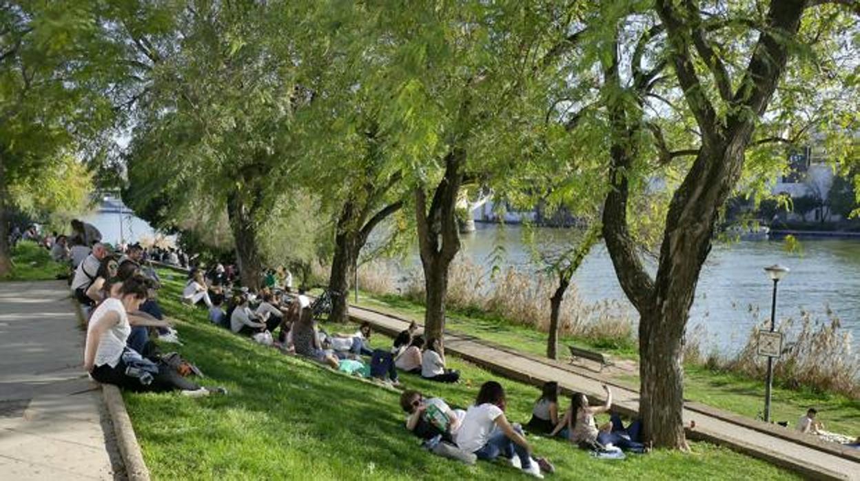 Los sevillanos podrán disfrutar de temperaturas agradables