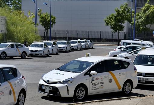 Un centenar de taxis acudieron a la llamada del gremio esta mañana