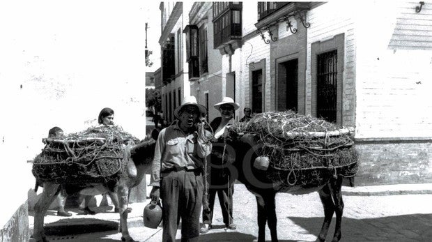 Así vendía el botijero por las calles de Sevilla