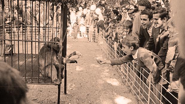 El parque zoológico que una vez tuvo Sevilla