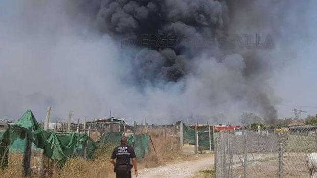 Un incendio de pastos frente a Vega de Triana en Sevilla pone en peligro a varios animales