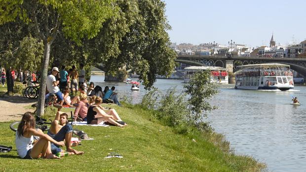 El tiempo en Sevilla: agosto ofrece su primera tregua con un descenso de hasta 8 grados