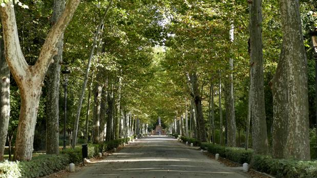 El Ayuntamiento de Sevilla renovará todos los senderos del Parque de María Luisa y mejorará sus accesos