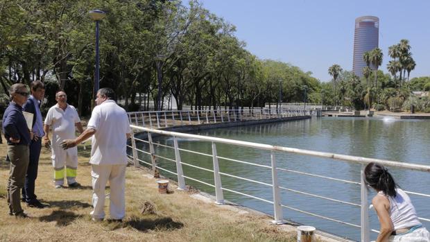 El Ayuntamiento pone en marcha un plan de refuerzo de limpieza de los parques y jardines de Sevilla