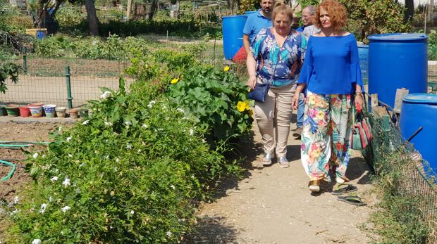 Cómo participar en los huertos urbanos que ofrece Sevilla