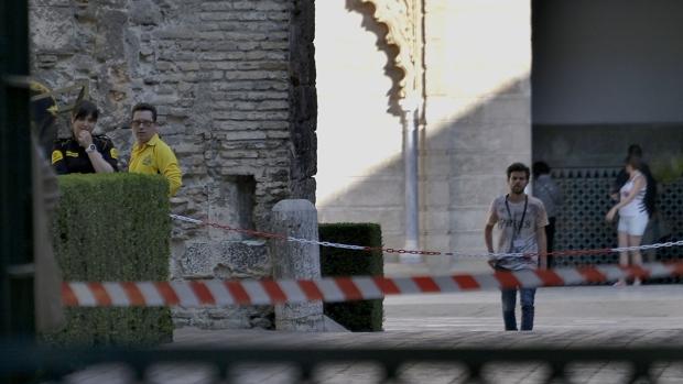 El seguro declara al Alcázar de Sevilla «único responsable» del accidente del árbol