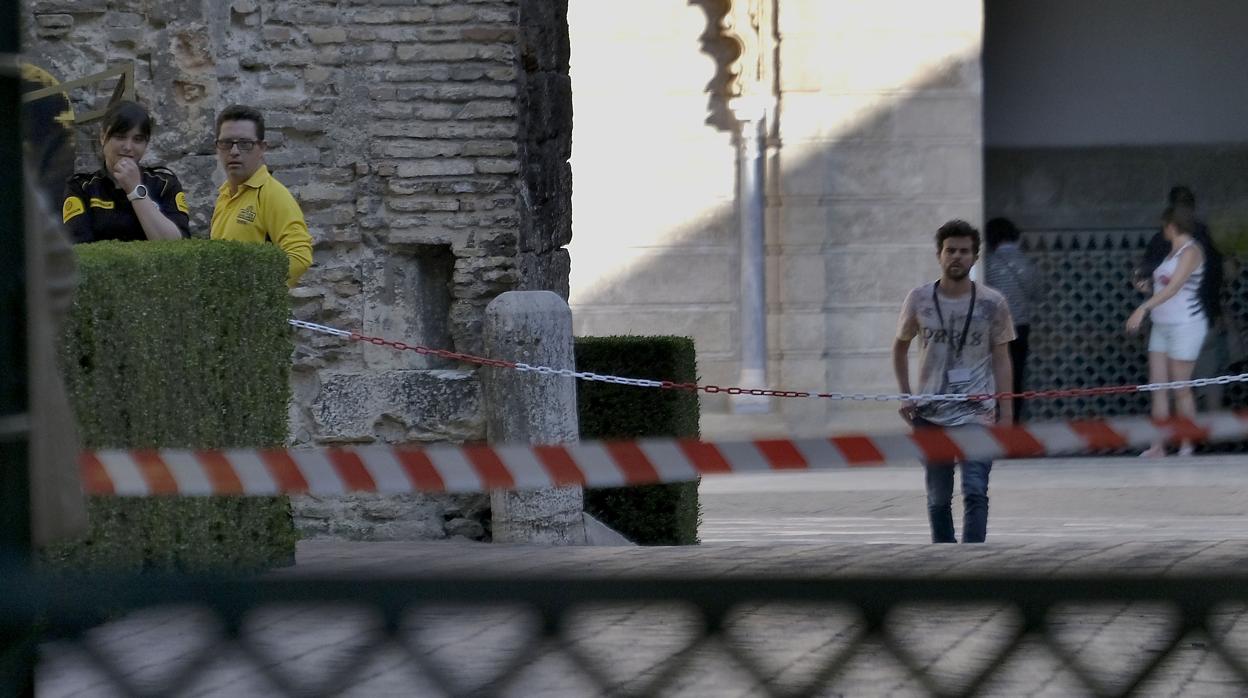 Zona en la que cayó la rama sobre ocho personas, unas horas después del accidente