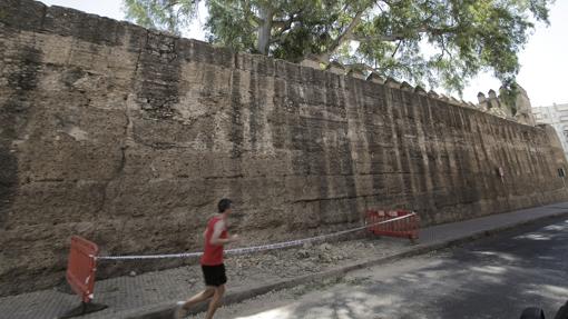 El lienzo de muralla en la Macarena